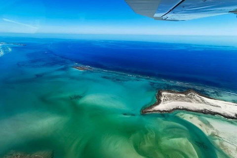 Wet Season Incredible Islands Tour - Horizontal Falls & Cygnet Bay Pearl Farm - Food Delivery Shop 4