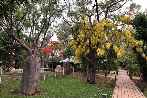 Wet Season Mitchell Falls Tour - Mitchell Falls, Horizontal Falls & Cygnet Bay - Food Delivery Shop 1