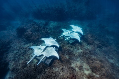 Premium Private Charter - Pet Food Australia 3