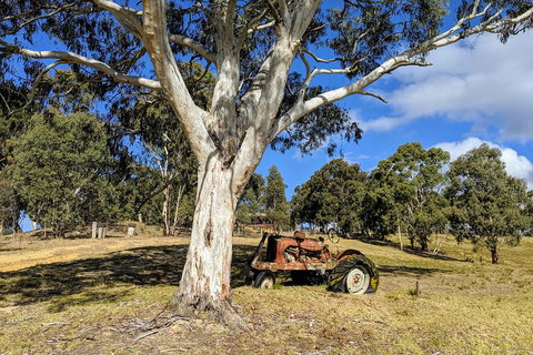 Blue Mountains Private Tour - Wild Kangaroos, Waterfalls And The Three Sisters - Food Delivery Shop 1