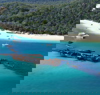 All Inclusive Tangalooma Wrecks Cruise Tour From Gold Coast - Pet Food Australia