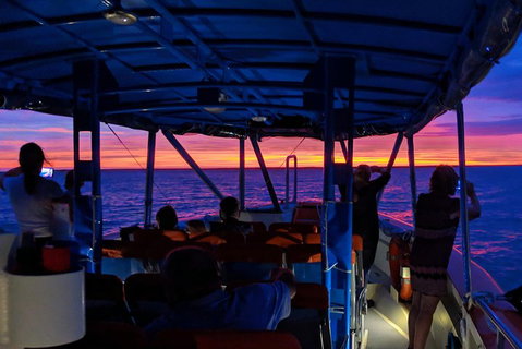 Darwin Sunset Cruise Including Fish 'n' Chips - Food Delivery Shop 1