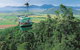 Kuranda Day Tour, TKS-RFS GRAND GOLD PLUS 0930 - thumb 0