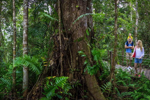 Kuranda Day Tour + HotAir Balloon Combo - Food Delivery Shop 3