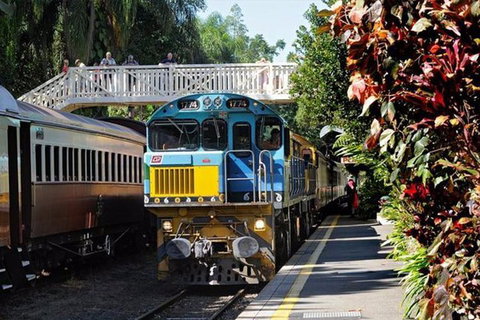 Kuranda Day Tour + HotAir Balloon Combo - Food Delivery Shop 4