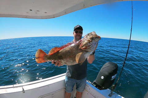 1/2 Day 5 Hour Offshore Fishing Charter - Pet Food Australia 2
