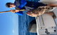 1/2 Day 5 Hour Offshore Fishing Charter - thumb 5