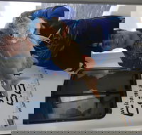 3/4 Day 7 Hour Offshore Fishing Charter - Pet Food Australia