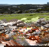 A picnic in Byron Bay - Pet Food Australia