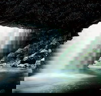 Natural Bridge Glow Worm Night Tour from Gold Coast - Pet Food Australia