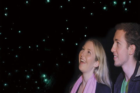 Natural Bridge Glow Worm Night Tour From Gold Coast - Food Delivery Shop 3