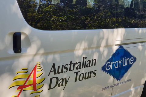 Natural Bridge Glow Worm Night Tour From Gold Coast - Food Delivery Shop 5