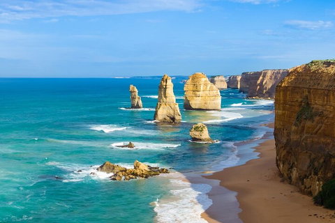 LGBT+ Friendly 3 Day Private Tour Great Ocean Road & Phillip Island - Pet Food Australia 4
