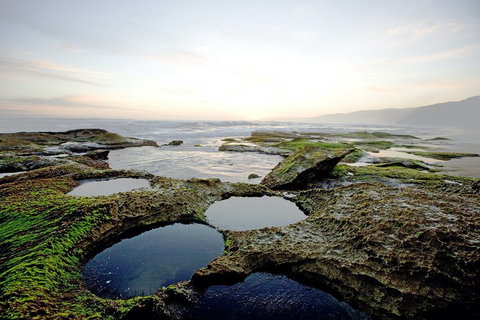 LGBT+ Friendly 3 Day Private Tour Great Ocean Road & Phillip Island - Pet Food Australia 5