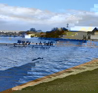 Perth Bike Tour - Beautiful Matilda Bay and Kings Park - Pet Food Australia