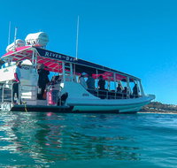 Best of Moreton Bay Cruise - Food Delivery Shop