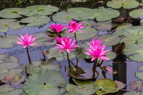 Kakadu, Nourlangie And Yellow Waters Tour From Darwin - Food Delivery Shop 1