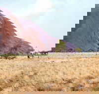 Uluru Sunrise and Guided Base Walk - Food Delivery Shop