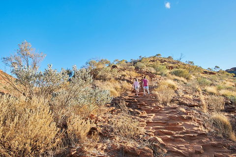 Kings Canyon Guided Rim Walk - Food Delivery Shop 1