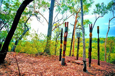 Tiwi Islands Cultural Experience From Darwin Including Ferry - Food Delivery Shop 3