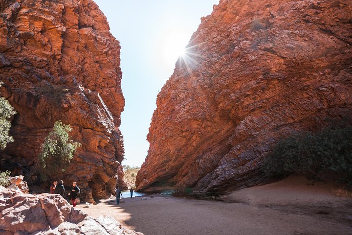 Alice Springs NT Food Delivery Shop