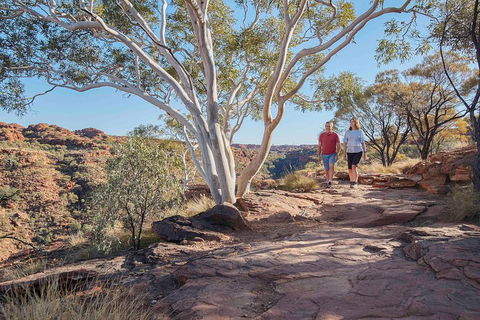 3-Day Tour From Uluru (Ayers Rock) To Alice Springs Via Kings Canyon - Food Delivery Shop 1