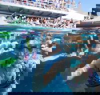 Great Barrier Reef Day Cruise from Cairns Including Snorkeling and Marine Biologist Presentation - Food Delivery Shop