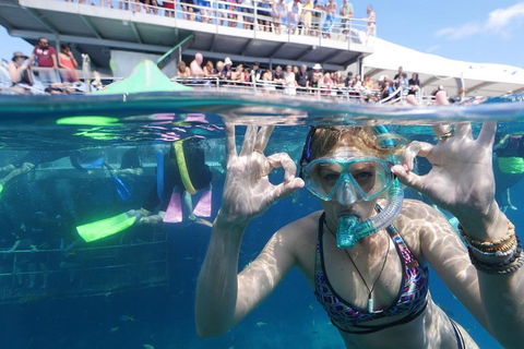 Great Barrier Reef Day Cruise From Cairns Including Snorkeling And Marine Biologist Presentation - Food Delivery Shop 0
