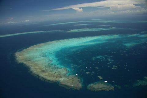 Great Barrier Reef Day Cruise From Cairns Including Snorkeling And Marine Biologist Presentation - Food Delivery Shop 1