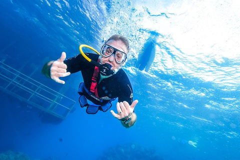 Great Barrier Reef Day Cruise From Cairns Including Snorkeling And Marine Biologist Presentation - Food Delivery Shop 3