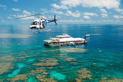 Great Barrier Reef Day Cruise From Cairns Including Snorkeling And Marine Biologist Presentation - Food Delivery Shop 5
