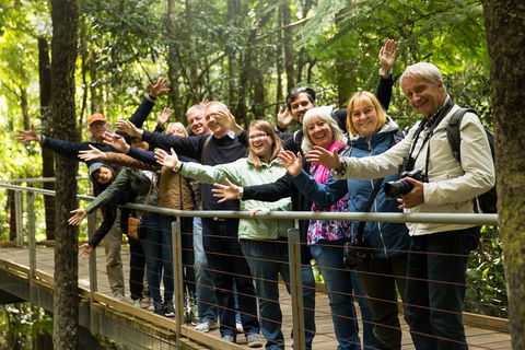 All Inclusive Blue Mountains Small-Group Day Trip From Sydney - Food Delivery Shop 5