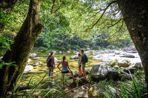Private Daintree Mossman Gorge Exclusive Nature And Wildlife Focus - Food Delivery Shop 5