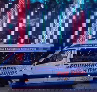 Evening Rainforest  Glow Worm Experience - Pet Food Australia