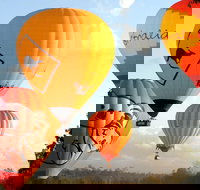 Natural Bridge  Springbrook Waterfalls Tour  Hot Air Balloon with Breakfast - Pet Food Australia