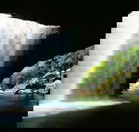 Natural Bridge  Springbrook Waterfalls Tour - Pet Food Australia