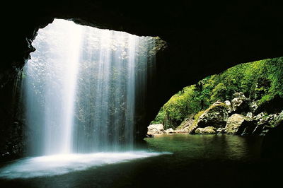 Natural Bridge  Springbrook Waterfalls Tour