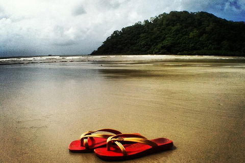 Daintree And Cape Tribulation Full Day Guided Tour - Food Delivery Shop 4