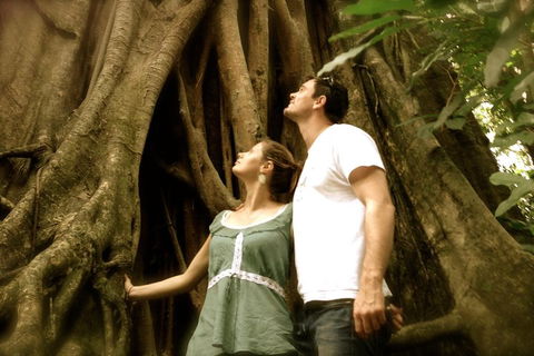 Daintree And Cape Tribulation Full Day Guided Tour - Food Delivery Shop 5