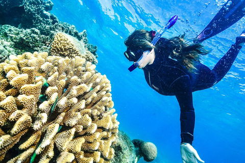 Green Island Day Trip From Cairns - Pet Food Australia 1