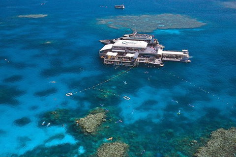 Quicksilver Outer Great Barrier Reef Snorkel Cruise From Palm Cove - Food Delivery Shop 1