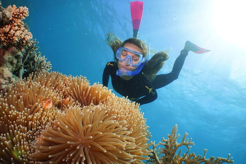 Quicksilver Outer Great Barrier Reef Snorkel Cruise From Palm Cove - Food Delivery Shop 2