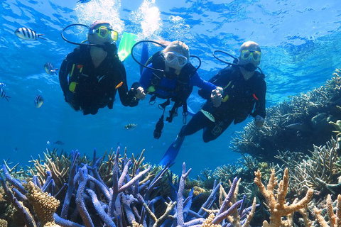 Quicksilver Outer Great Barrier Reef Snorkel Cruise From Palm Cove - Food Delivery Shop 3