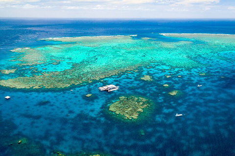 Quicksilver Outer Great Barrier Reef Snorkel Cruise From Palm Cove - Food Delivery Shop 4