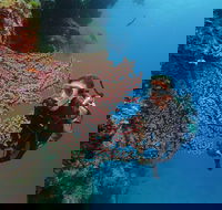 Silversonic Outer Great Barrier Reef Dive and Snorkel Cruise from Port Douglas - Food Delivery Shop