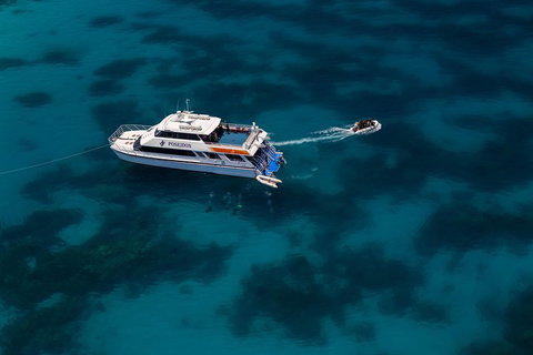 Quicksilver Dive 4 Day PADI Learn To Dive Course - Food Delivery Shop 1