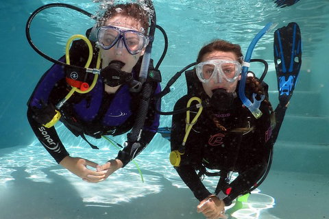 Quicksilver Dive 4 Day PADI Learn To Dive Course - Food Delivery Shop 2