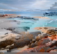 Wineglass Bay Private Charter Service - Pet Food Australia