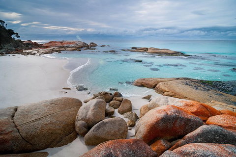 Wineglass Bay Private Charter Service - Food Delivery Shop 0