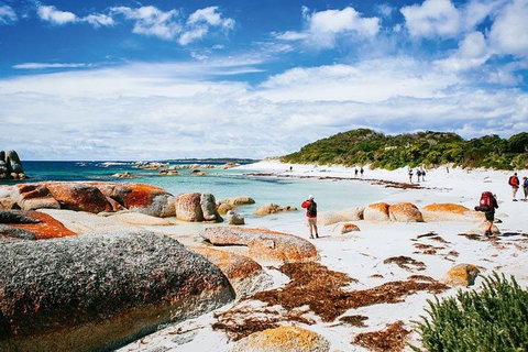 Wineglass Bay Private Charter Service - Food Delivery Shop 3